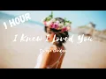 Savage Garden - I Knew I Loved You (1 hour loop)