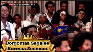 KORMAA SEENXOO MOO AA MOO ATTOOTAA DORGOMAA SAGALEE 