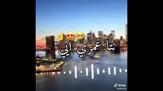 لغاتلي في تلفون 