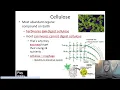 Chapter 3 Macromolecules