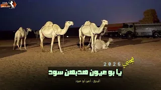 هجيني يابو عيون هدبهن سود امير ابو عبود دندنها