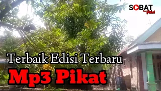 Download Pemikat Harus Punya,Suara Pikat Burung Kecil Paling Top Edisi Terbaru MP3