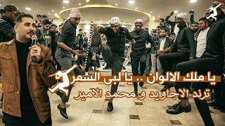 مجوز يا ملك الالوان يا لبى السمر ترند الاجاويد و الفنان محمد الامير جديد وحصري 