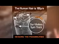 What are Silicon Wafers