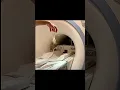 This Is Why Gold Jewelry Should Never Enter The MRI Scan Room