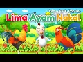 Lagu Anak2 | Lima Ayam Nakal | Lagu Anak Anak Indonesia