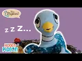 What A Pigeon Does Before Bed Routine Song The Pigeon Sing-Alongs Hidden Pigeon Channel