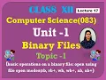Binary Files in Python Read Write append Modes in binary files