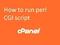 How to Run Perl CGI Script on Server using CPanel