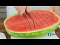 Lagu Stainless Steel Watermelon Slicer Cutter Server Corer Scoop Utensils
