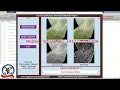Corn Leaf Disease Detection Using Image Processing With Source Code Corn Plant Disease Detection
