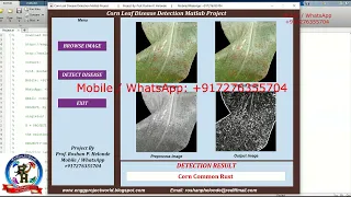 Corn Leaf Disease Detection Using Image Processing With Source Code Corn Plant Disease Detection