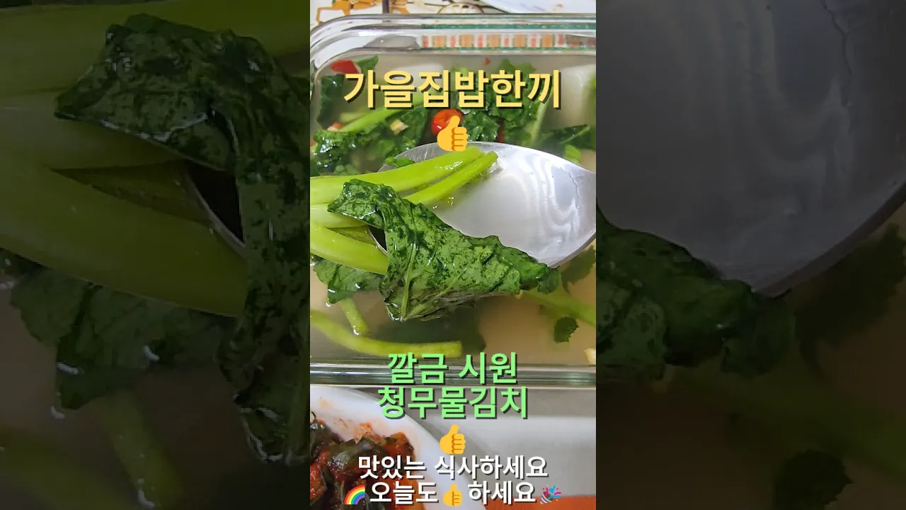 26년 가을 집밥일기: 소고기, 김치, 장아찌 한상차림 레시피 숏폼 썸네일