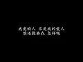 我爱的人 林宥嘉 (歌词版)