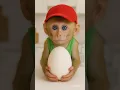 Download Lagu baby monkey wants an egg too 🥚😂