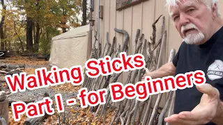 Walking Sticks - Part I for Beginners