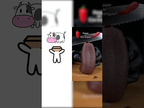 Jake Guesses What's Inside!