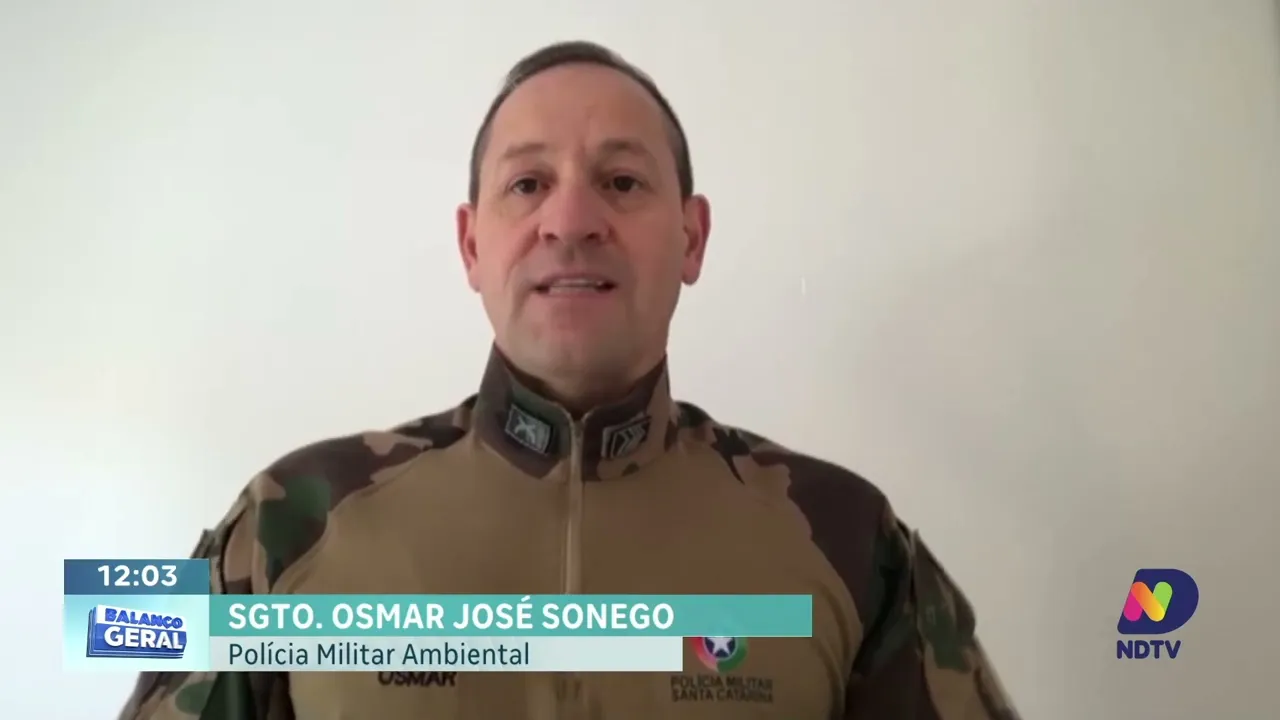 Polícia Ambiental desmantela oficina clandestina de armas em Calmon