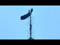 How daredevil climbers got onto Empire State Building spire