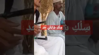 طمبور شايقي علي اصولو Music Explore Dance Religion Funny Live 