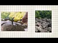 20 Natural Structures in the Appalachian Mountains Scientists Can’t Explain