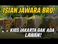 Download Lagu KIOS MURAI DI JAKARTA INI GAK ADA LAWAN! HARGA PELAJAR, ISIAN JAWARA!