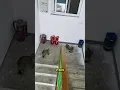 Lagu wat ze eigenlijk deden?