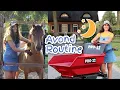 Download Lagu Avond Routine van mijn paarden + update ELEKTRISCHE KRUIWAGEN! \