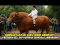 Download Lagu BIKIN MELONGO,  SAPI QURBAN PRESIDEN PRABOWO 2025 PECAHKAN REKOR‼️SEGEDE Truk \u0026 SEHARGA Mobil Sport