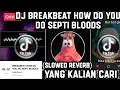 Download Lagu DJ BREAKBEAT HOW DO YOU DO SEPTI BLOODS (SLOWED REVERB) VIRAL TIKTOK TERBARU