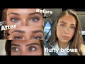 Not to be dramatic but this brow will change ur life