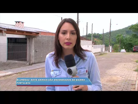 Blumenau: nove animais são envenenados no bairro Fortaleza