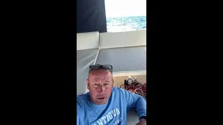 Caribbean Sailing Adventure #shorts