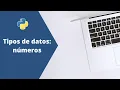 Tipos de datos numeros Python Basico