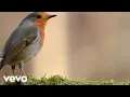 Download Lagu Mukhtar Al Haaj - Beautiful Duaa Mukhtar Al Hajj (Official Music Video)