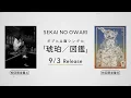 New Sg 「琥珀/図鑑」【初回限定盤 商品映像】