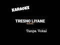 Download Lagu Tresno liyane - NorthSle (Karaoke dan Lirik lagu)pengarepku kowe oleh penggantiku