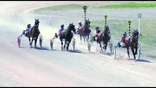 Amman Valley Harness Races 21 5 2022 Novice Race 