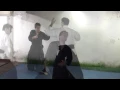 Download Lagu Ogawa Ryu - IBS - ASB - Shizen studies - (短刀術) Tanto jutsu 1