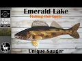 How To Catch Trophy Unique Sauger Emerald Lake Fishing Planet Hot Spots