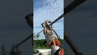 اسمع صوت الكهرب كيف High Voltage Sound 