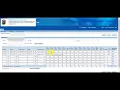 DMHRSI Create Timecard