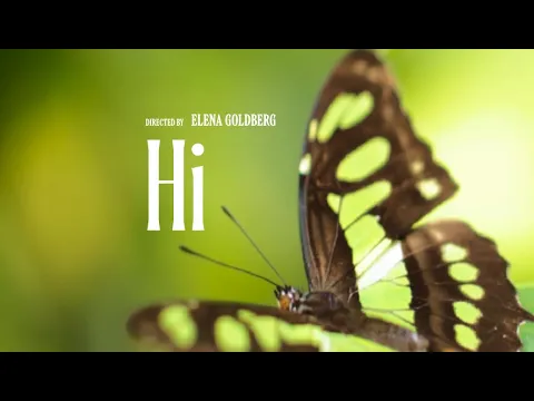 Hi (2025) | Coming soon