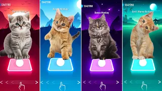 Cute Cats 🆚️ Cute Puppy 🆚️ Cute kitten 🆚️ Bongo cat Coffin Dance Astronomia Tiles hop edm rush🎶