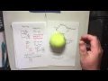 Physics 213 Lecture - Energy