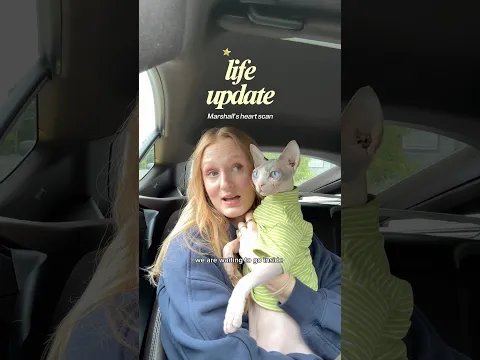 Marshall’s Health Update❤️ #sphynx #pets #hcm #cats #shorts