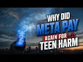 Why Why Did Meta Pay 567M