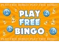 Play free bingo games site