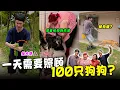 【怪咖 x  狗狗义工】这些流浪狗狗谁来照顾?! 😢 帮它清理大便! 比想象中还辛苦!【ENG SUBS】