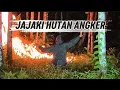 Lagu EXPLORASI HUTAN WINGIT DITAKUTI WARGA